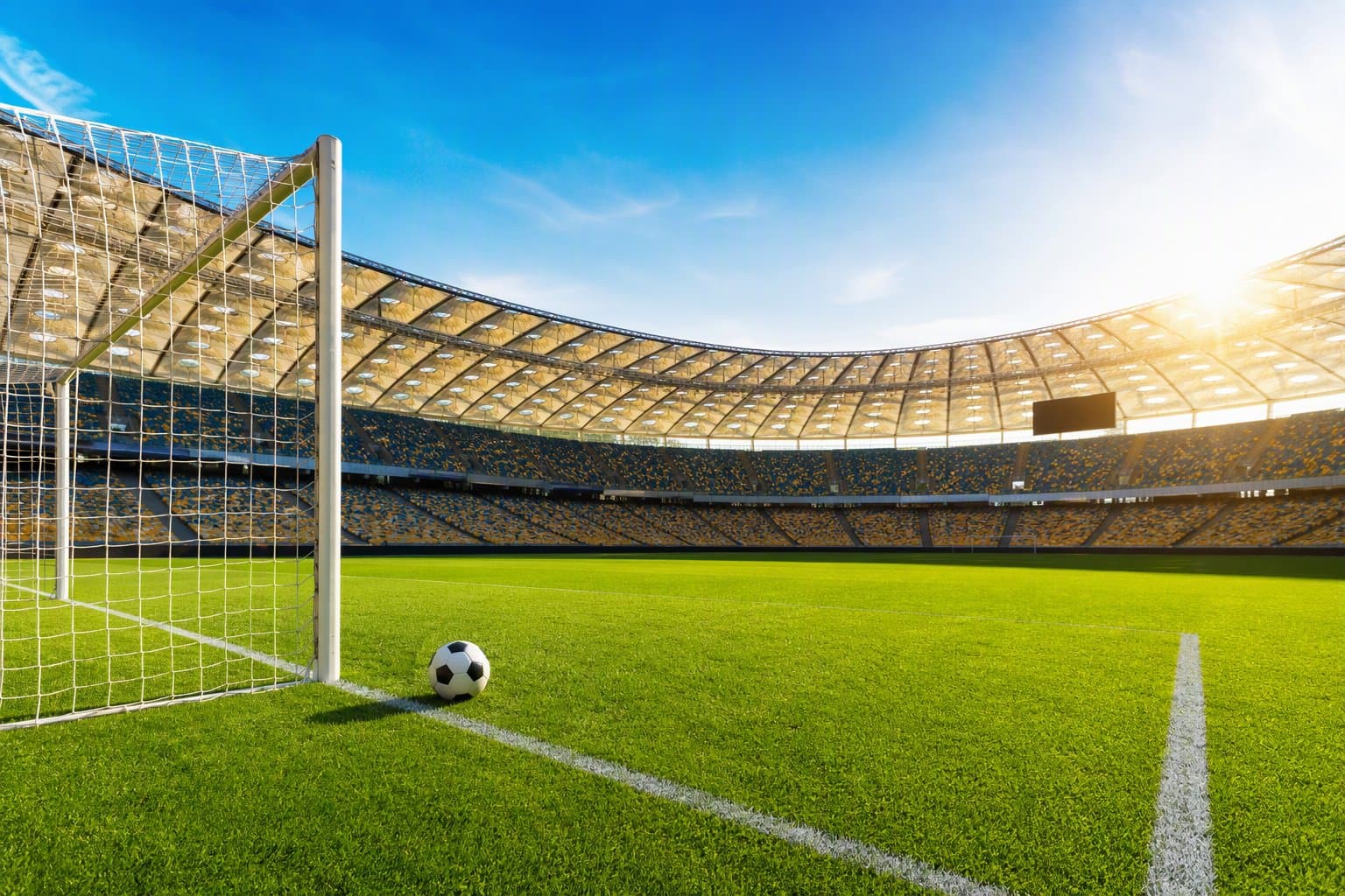 Soccer Victory - illustration, Jake Team LLC