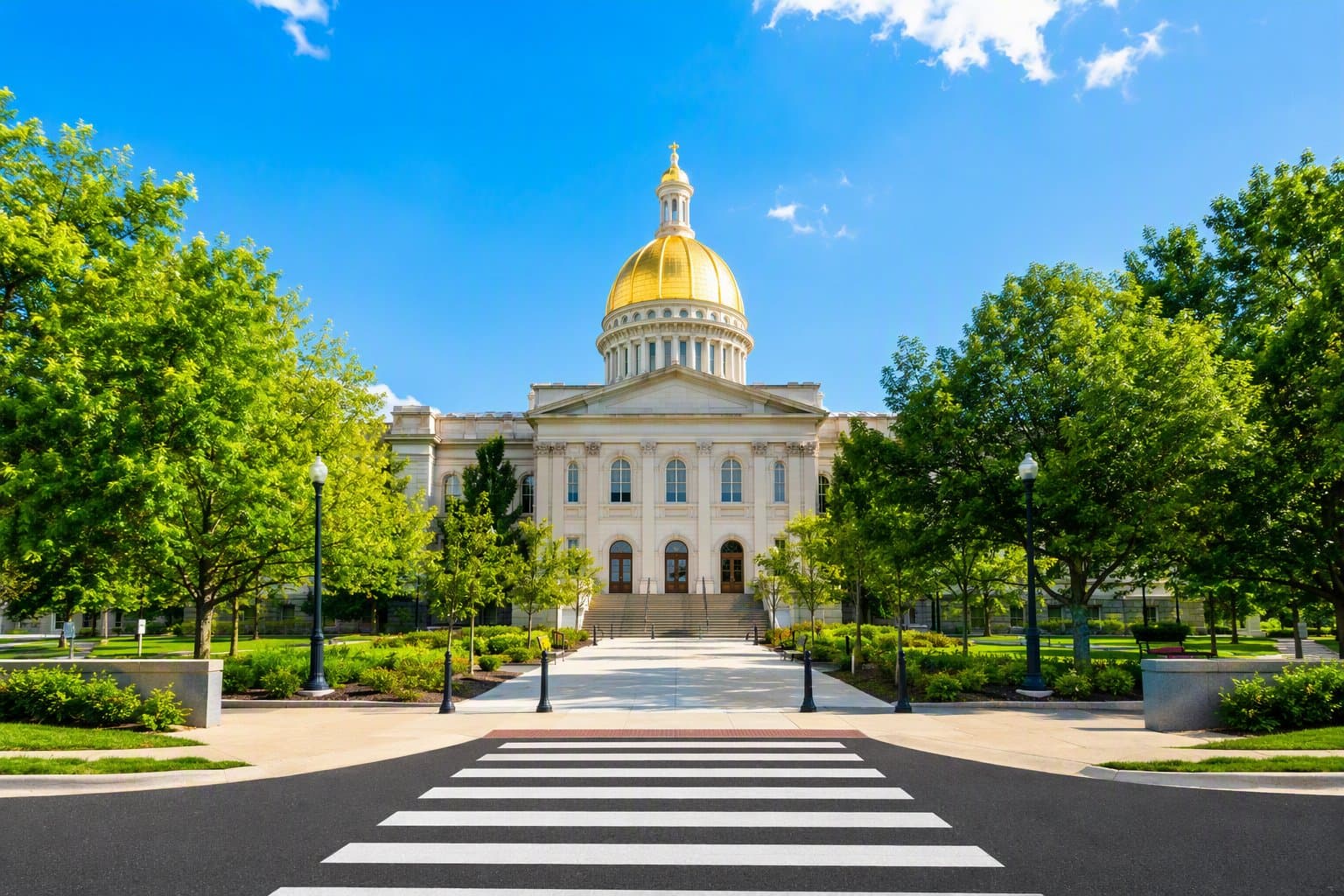 Civic Access - illustration, Jake Team LLC