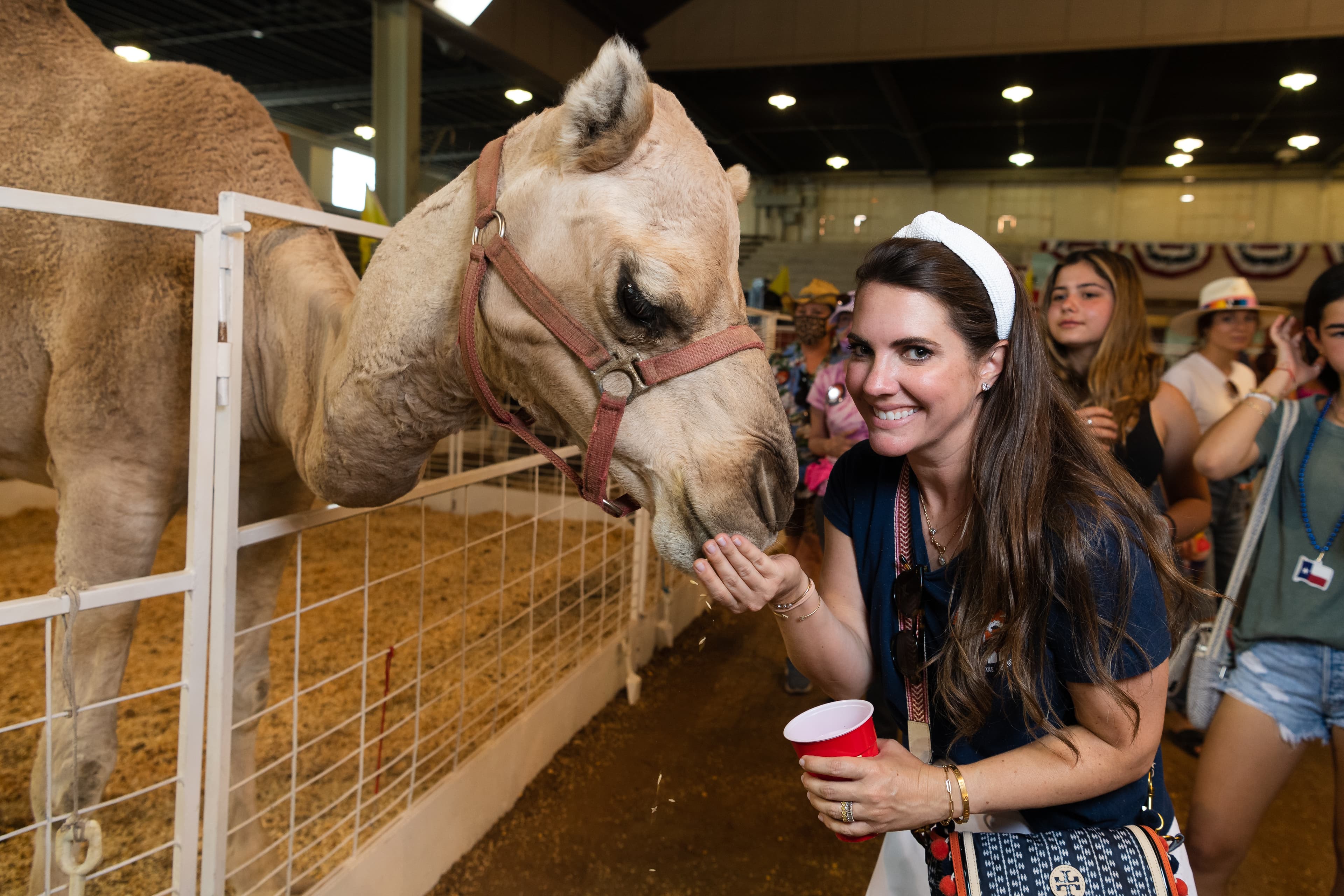 File photo: A visitor feeds a camel through a fence at an animal exhibit.
